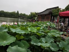 -湘湖大院(越王路店)