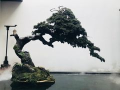 -觀芷隐轩