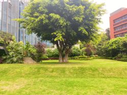 -成都世外桃源酒店-宴会厅·草坪婚礼·会议活动