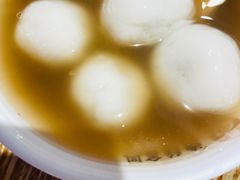 -海丝金凤(金鱼店)