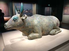 -宁夏博物馆