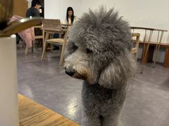 -沏点Trattoria意大利餐厅(新街口店)