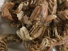 椒盐虾菇肉-天天渔港海鲜酒家(石浦玉泉路店)