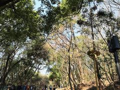 -灵岩山风景区
