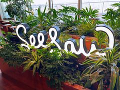 -Seesaw Coffee(朝阳大悦城店)