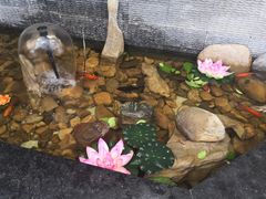 -百花食府(渔阳南路店)