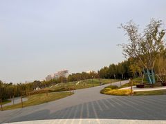 -上海山野camping·户外天幕烧烤·团建拓展营地