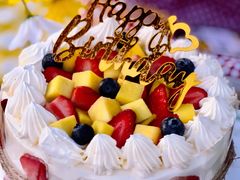 -维尔纳斯·生日蛋糕动物奶油冰淇淋蛋糕(人大店)