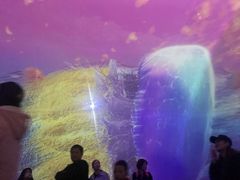 -大连圣亚海洋世界