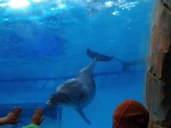 -波塞冬旅游度假区