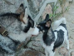 -北仑森林植物园