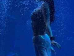 -太平洋海底世界