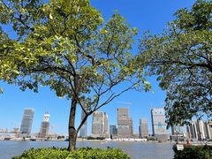 -赏点粤式点心(广州塔店)