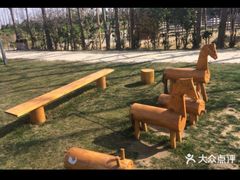 -前小桔亲子创意农场·草莓采摘·露营烧烤