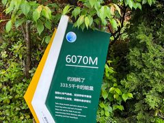 -老山国家森林公园