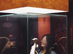 -昆明市博物馆(昆明市文物保护和考古研究中心)