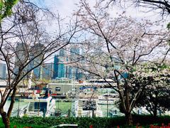 -北外滩滨江绿地