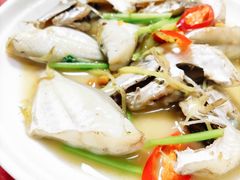 迪仔鱼-肥弟大排档(汕樟路店)