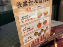 -1937青岛老味道·海肠捞饭·青岛菜(大鲍岛栈桥店)