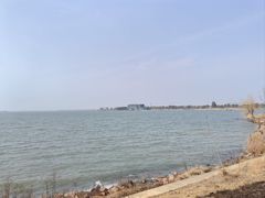 -漕湖湿地公园