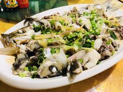 -鸿渡渔庄·特色鸭咀鱼