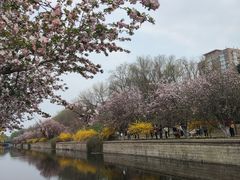 -海棠花溪(元大都城垣遗址公园)
