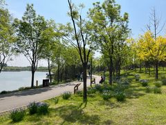 -东郊湿地公园