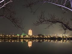 -灞河西岸滨河公园