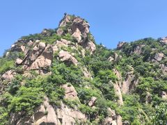 -大岭沟猕猴桃谷风景区