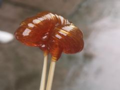 -海窝子古镇