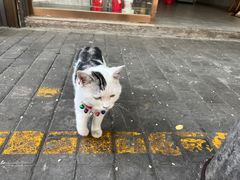 -马洪小炒泡馍馆(钟楼回民街店)