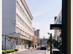 -嘉定紫藤园