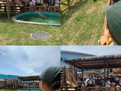 -福州罗源湾海洋世界旅游区