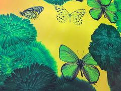 -蝴蝶里·粤菜·点心(龙湖杭州金沙天街店)