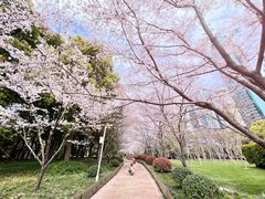 -陆家嘴中心绿地
