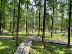 -黄海国家森林公园