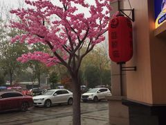 -蓝鲸湾汤泉(包河店)