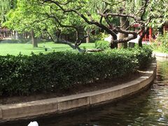 -咖啡CHA自助餐厅(香格里拉饭店)