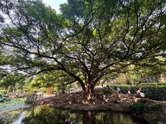 -晓港公园