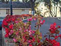 -上海市保健医疗中心