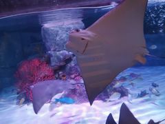 -沈阳海洋探索中心