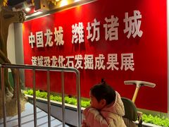 -诸城市恐龙博物馆