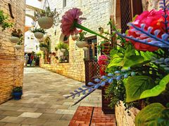 -华谊兄弟（长沙）电影小镇