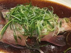 -澳门富豪酒店