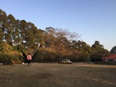 -南沙蒲洲花园
