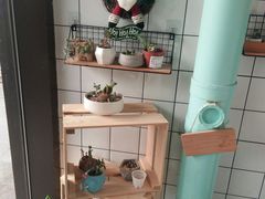 -蜜蜂小象·榴莲千层蛋糕(时代汇11栋店)