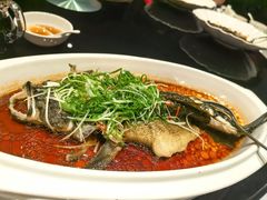 -新雅粤菜馆(南京东路店)