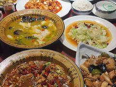 -邵年鸽(杨庄店)