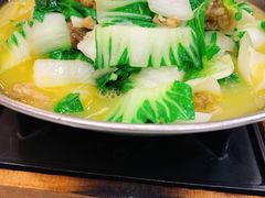 -丁老爷子苏香圆