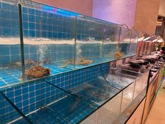 -漳州皇冠假日酒店·原素全日制餐厅